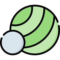 Therapy ball icon