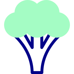 Broccoli icon