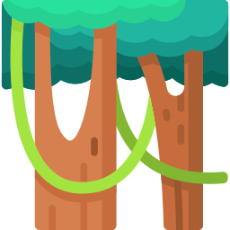 Rainforest icon