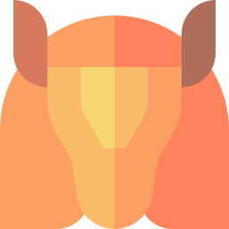 armadillo icono