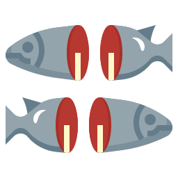 Salmon icon