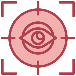 Vision icon