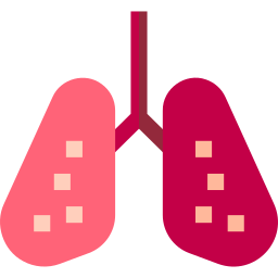 Lungs icon