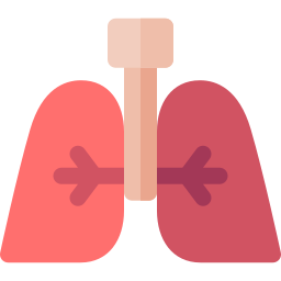 Lungs icon