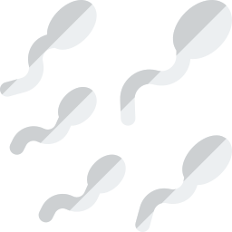 células de esperma icono