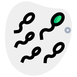 células de esperma icono