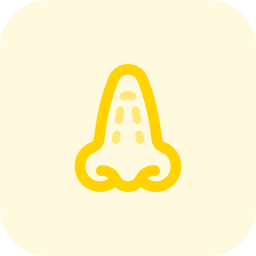 nasenlöcher icon