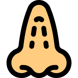 鼻の穴 icon