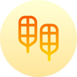 Snowshoes icon