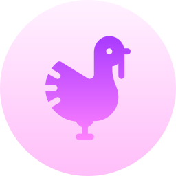 Turkey icon