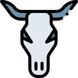 Skull icon