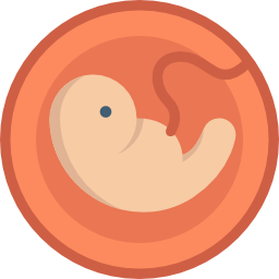 el embarazo icono