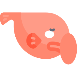 blobfish Icône