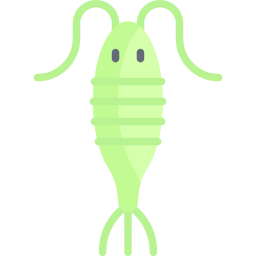 Plankton icon