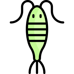 plankton icon