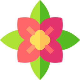 Poinsettia icon