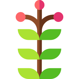 pianta icona
