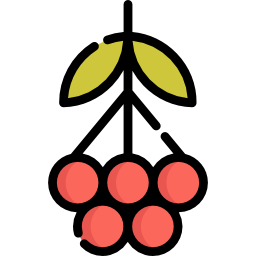 ナナカマド icon