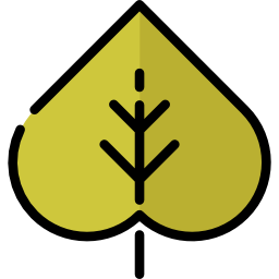 Leaf icon