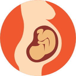 schwangerschaft icon