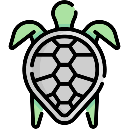 Turtle icon