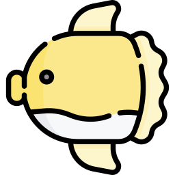 słoneczna ryba ikona