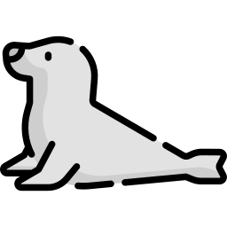 foca Ícone