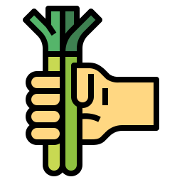 Spring onion icon