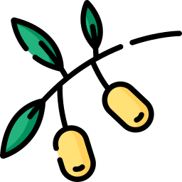 Olive tree icon