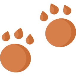 Paw print icon