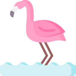 flamingo Ícone