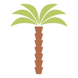 palm icoon