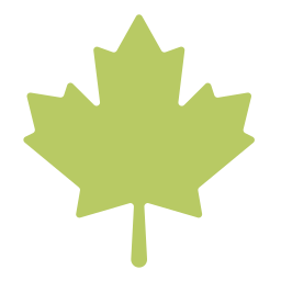 Maple leaf icon