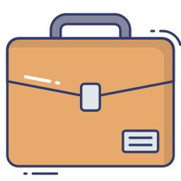 Portfolio icon