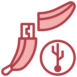 Flash drive icon