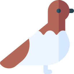 버드 나무 ptarmigan icon