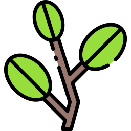 hojas de coca icono