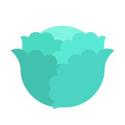 Cabbage icon