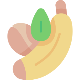fruit Icône