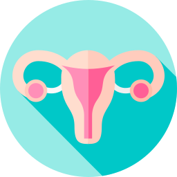 Uterus icon