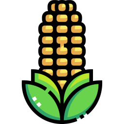 Corn icon