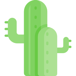 cactus icoon