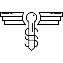 variante clave con alas icono