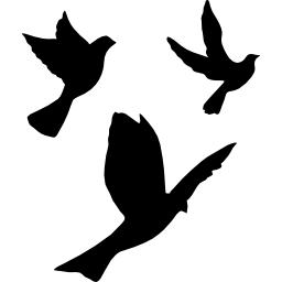grupo de palomas voladoras icono