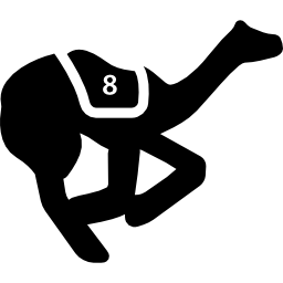 Camels race icon