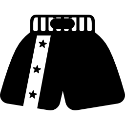 Боксерские шорты иконка