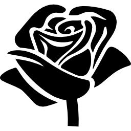kształt róży ikona