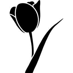forma de flor Ícone
