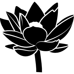 Flower ornament icon
