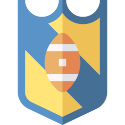 Shield icon